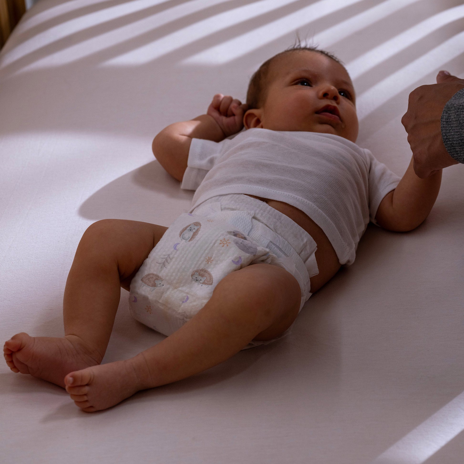 Kirkland Signature Diaper Size 1, 96-Count